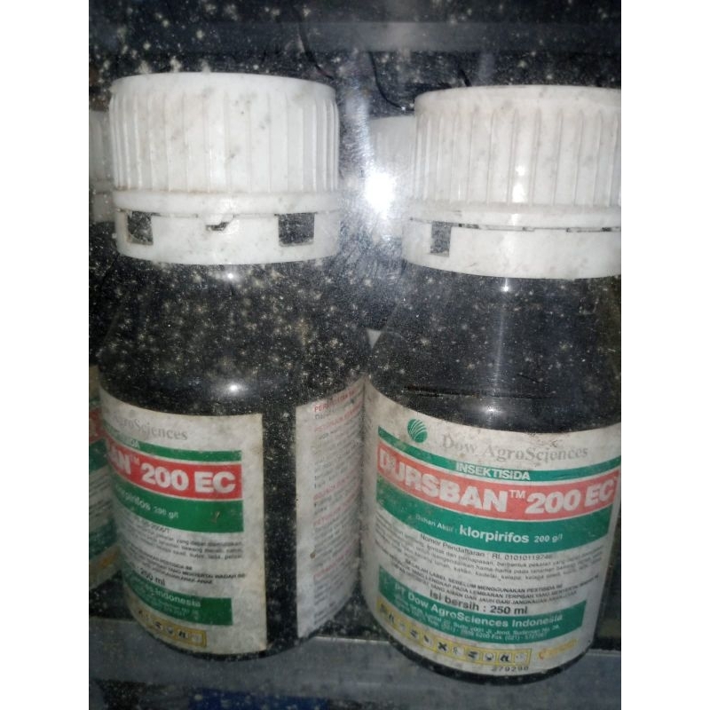 obat insektisida DURSBAN lama 250ml