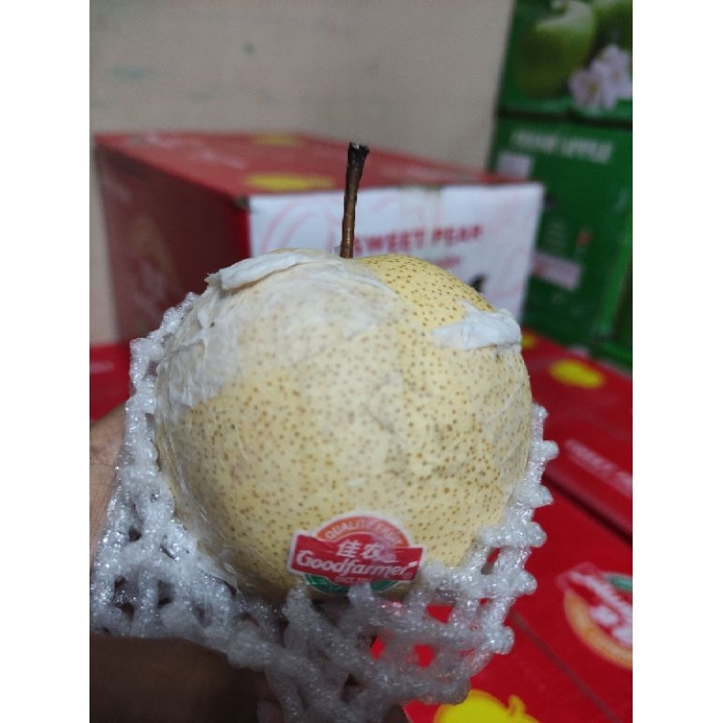 

sweer pear dari good farmer