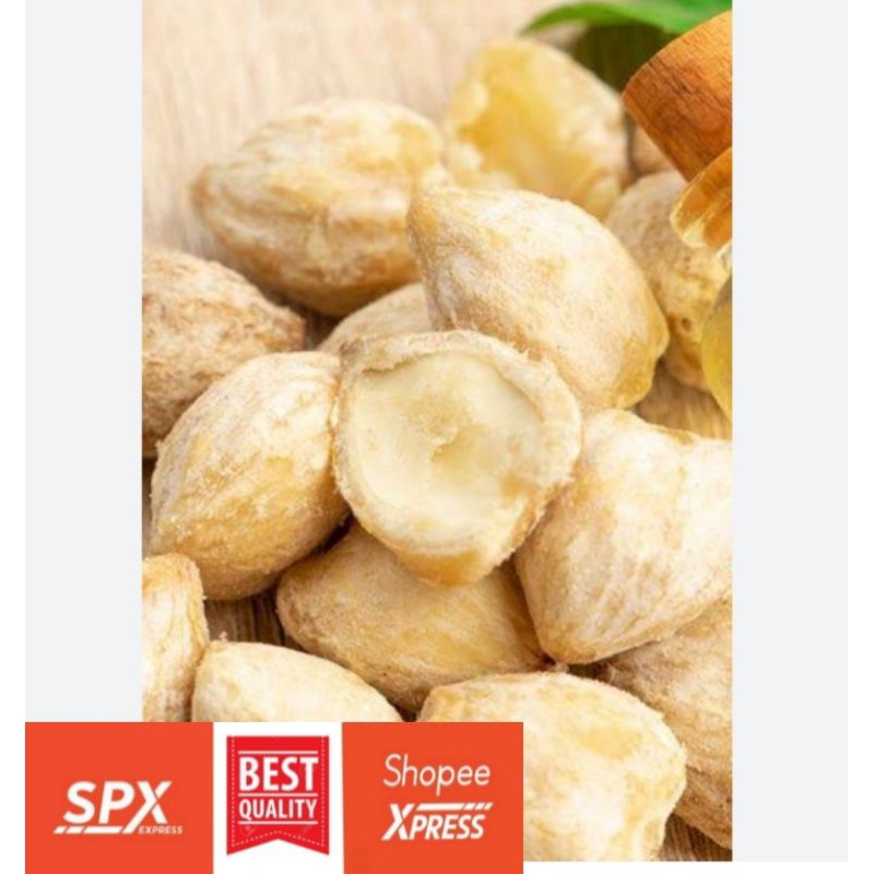 

Kemiri Pilihan Best Quality 100gr