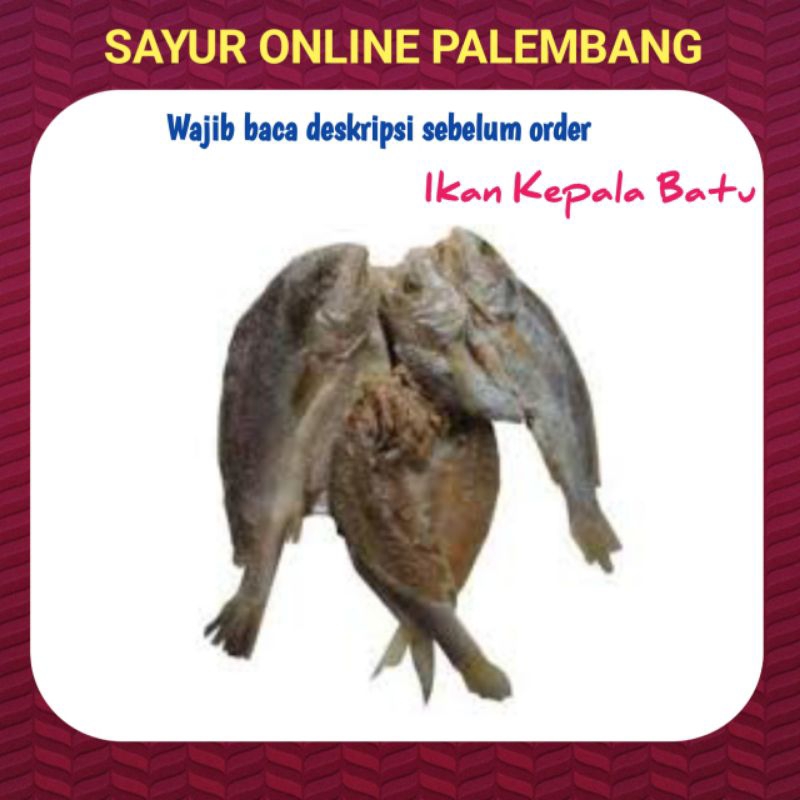

Ikan Asin Kepala Batu 100 gram - Toko Pasar Sayur Ikan Online Palembang
