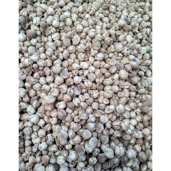 

[❇X25(] kapulaga kapolaga kapol jawa kering Grosir original bersih blower 1kg [298]