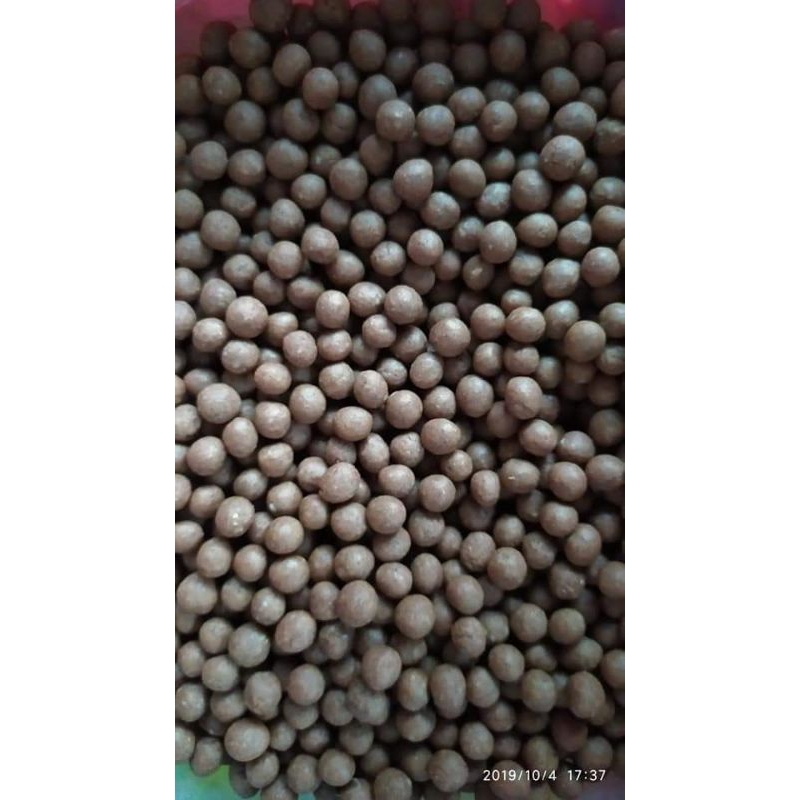 jamu ajaib mexico, jamu merpati, jamu ajaib