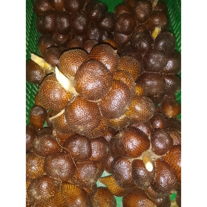 

Salak Pondoh Pronojiwo. Harga 15.000 per Kg