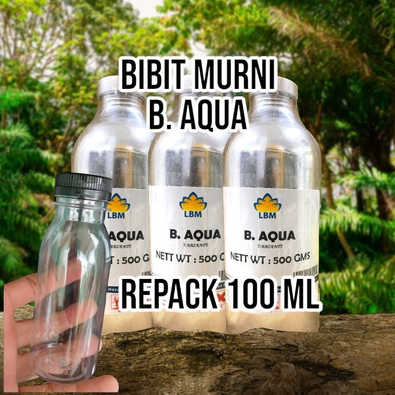 Grosir Bibit Parfum Bul Aqua  LBM Repack 100 ml Murni