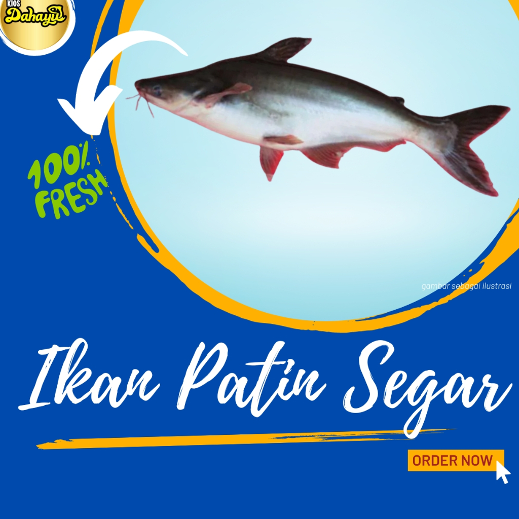 

Ikan Patin Segar