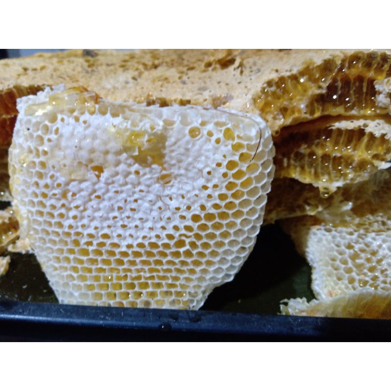 

Madu tawon asli 100%bukan madurasa dan tawon ternak/Madu Hutan/Madu Asli