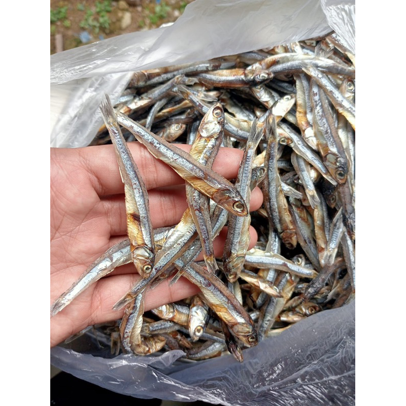 

paket 1kg ikan teri ,ikan asin maredang ikan asin tete asli pesisir selatan