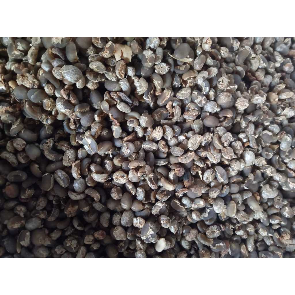 

Green Bean/Biji Arabika Aceh Gayo Semi Wash G2- 1 KiloGram(KG)