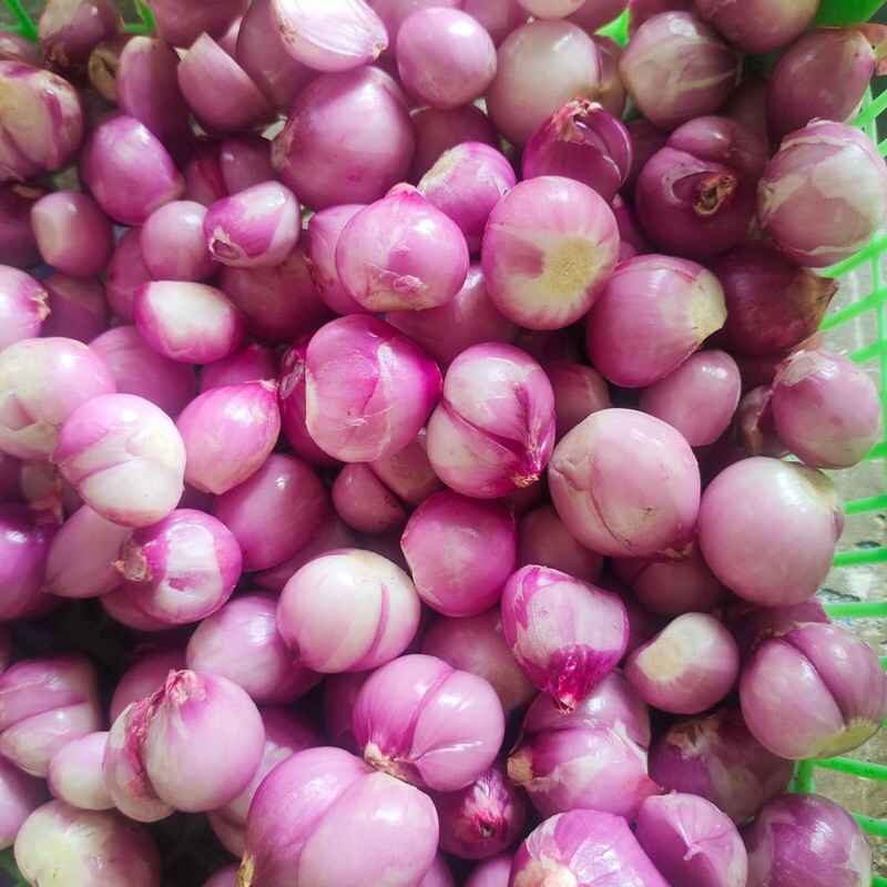 

Bawang Merah Kupas Fresh 1kg