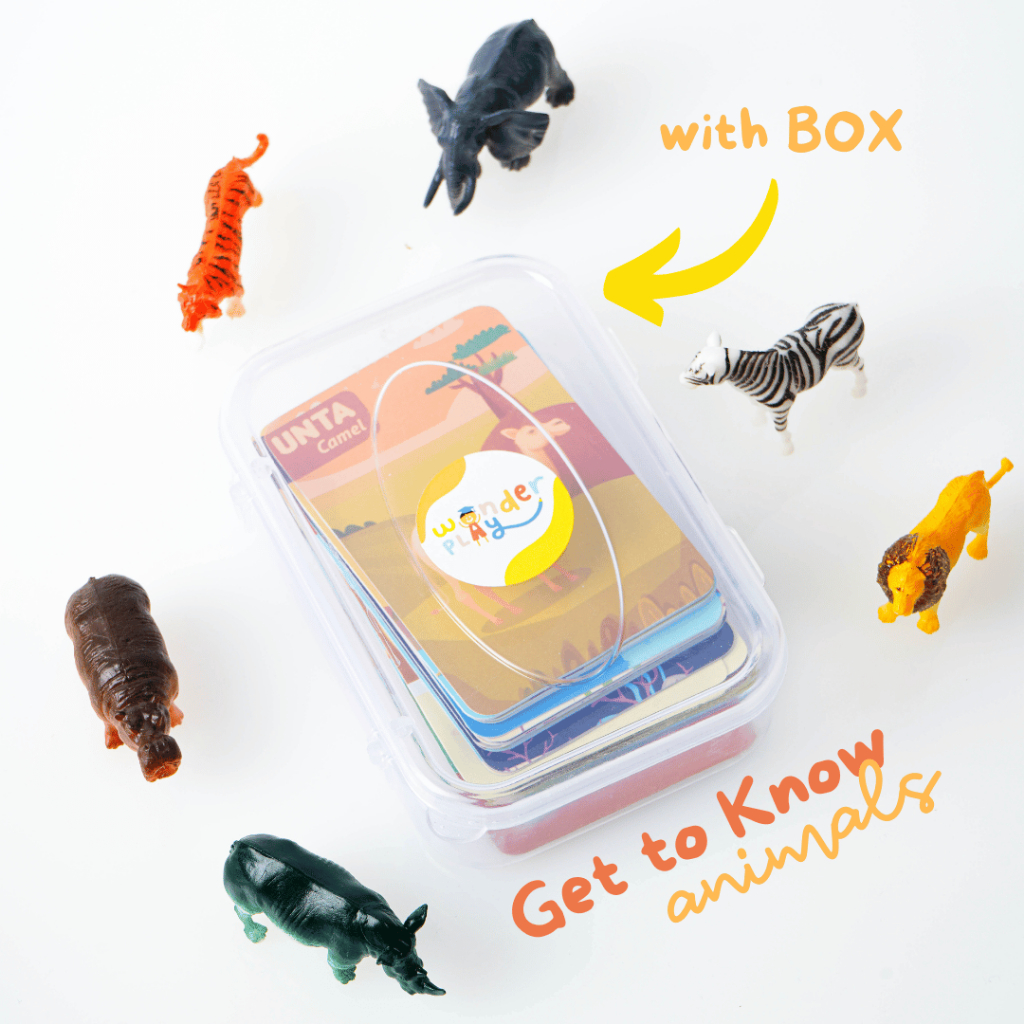 Flashcard : Get to Know Animals | Mainan Edukasi Anak | Wipe & Clean