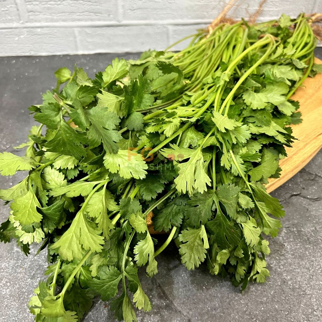 

Daun Wansui Import Pack 250gr