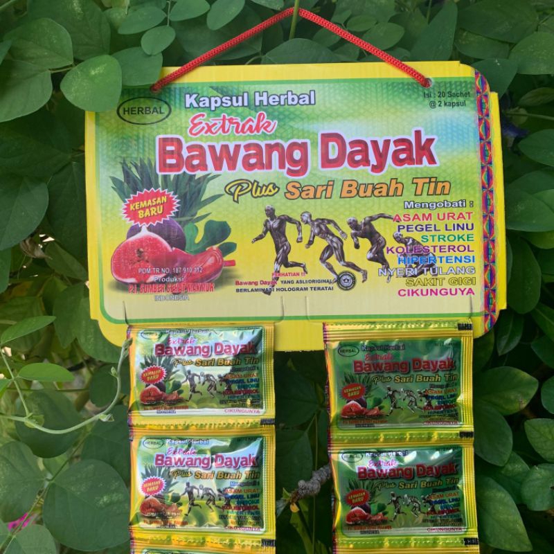 Bawang Dayak Kapsul Original Terbaru