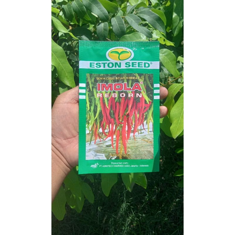 CABE IMOLA REBORN / NEW CABE BESAR HIBRIDA 10 GRAM TAHAN VIRUS BUAH LEBAT ORIGINAL 100% ( exp 09-01-