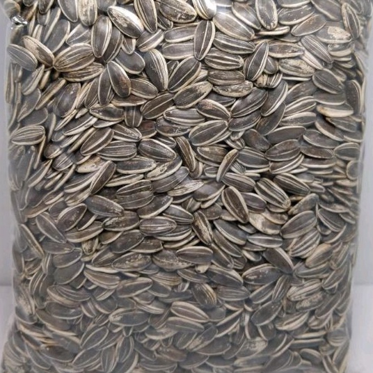 

Diskon!! KWACI BIJI BUNGA MATAHARI KULIT 1 KG 9135