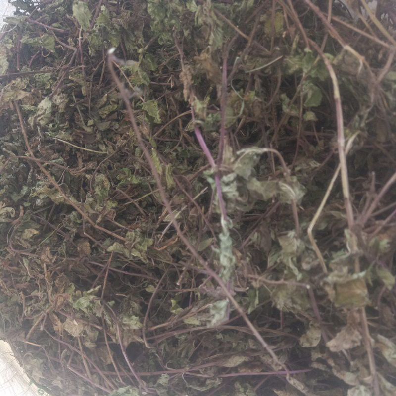 

daun mint kering 1 kg