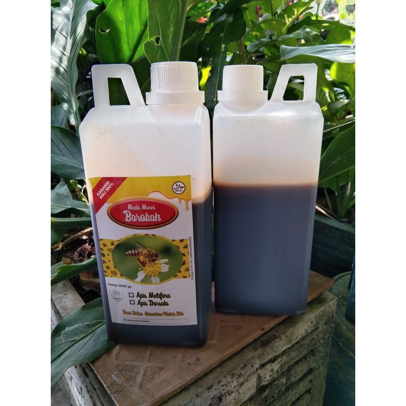 

Madu Murni Hutan Riau Akasia 100% asli 1000g