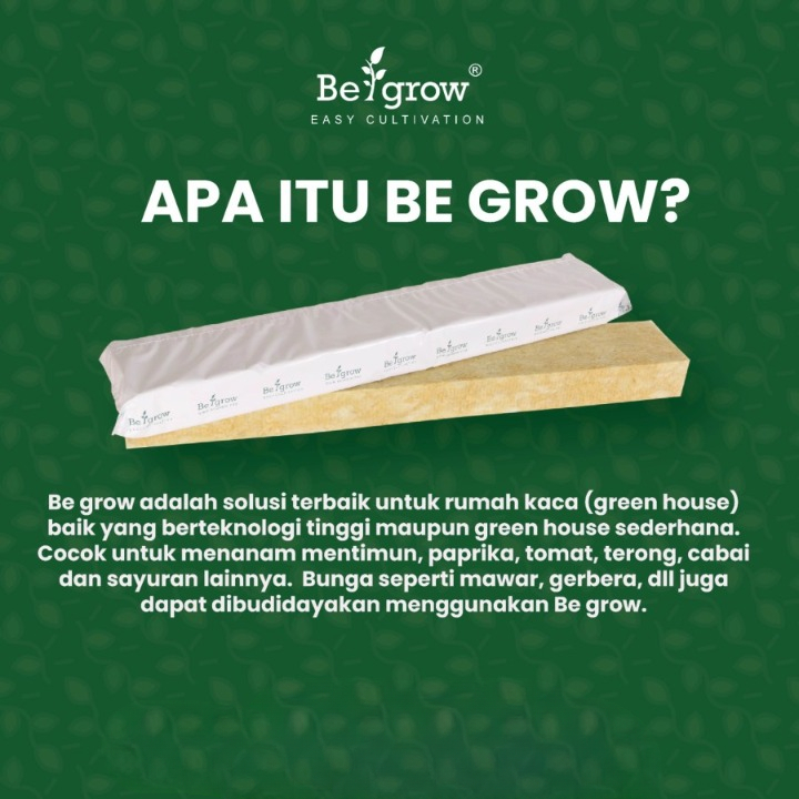 Media Tanam Hidroponik Rockwool Be Grow 1/4 Slab Cultilene Semai Impor