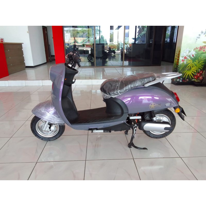 motor listrik uwinfly golden turtle/GN