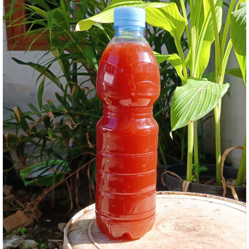 PSB 600 ml (Photosynthetic Bacteria)