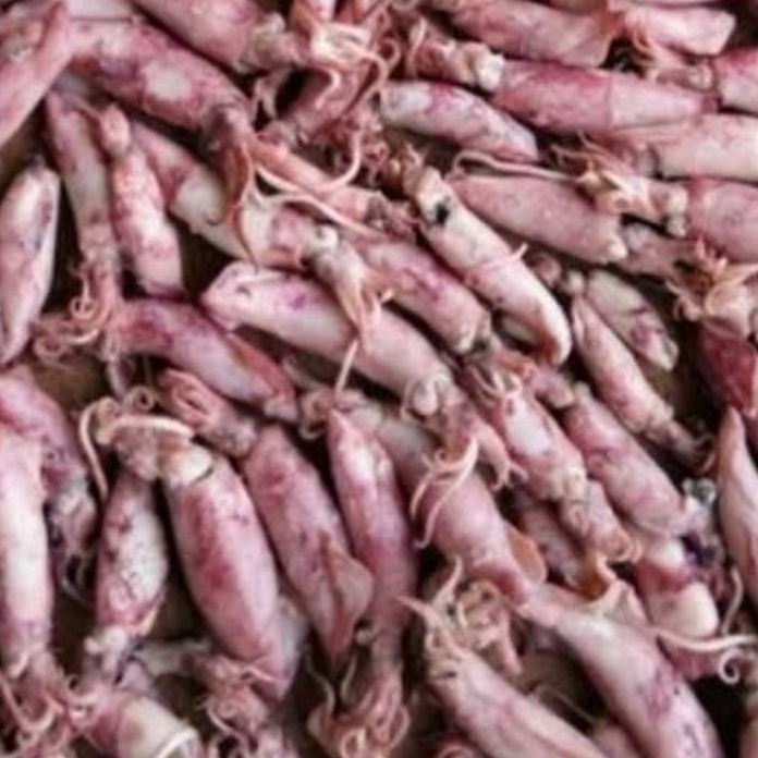 

Kode CAU967 Cumi Asin Kering | naga_exspress