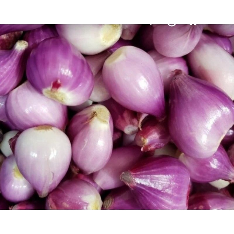 

Bawang Merah Kupas Lokal Mulai 250gram Sayur Segar
