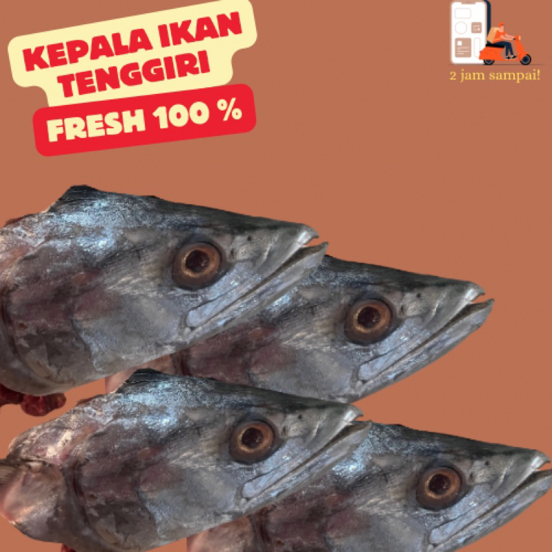 

Kepala Ikan Tenggiri Kepala Ikan Segar Fish Head Fresh KIRIM INSTAN BANDUNG