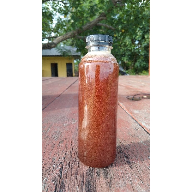 

madu Trigona nektar rambutan