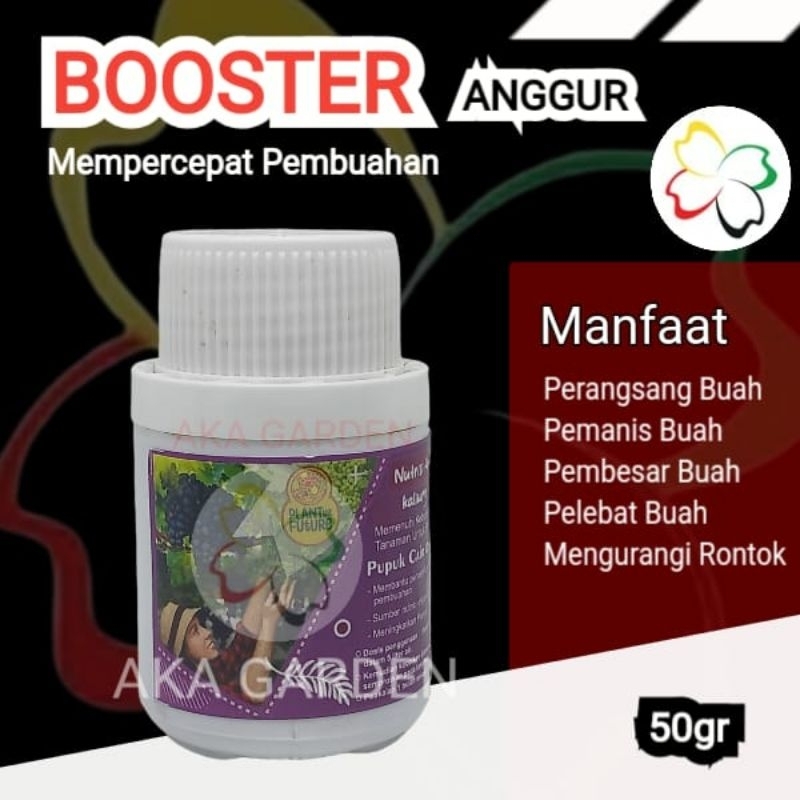 Pupuk Buah Anggur Organik Cair 50ml Asli Agar Cepat Berbuah Lebat Booster Anggur Ninel Hijau Bella J