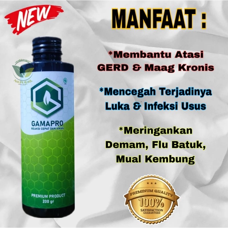 

MADU GAMAPRO PREMIUM OBAT LAMBUNG KRONIS GERD DAN LUKA USUS