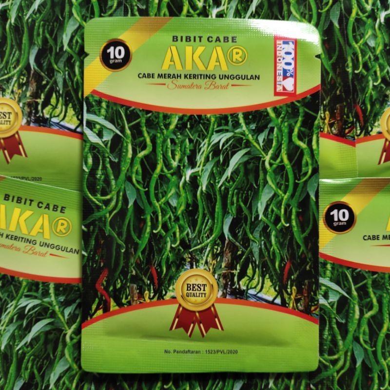 Ready Stok Cabe Unggul Akar Lokal Sumatra Asli Payakumbuh 10gOriginal Pabrik Cabe Akar Tahan Virus 