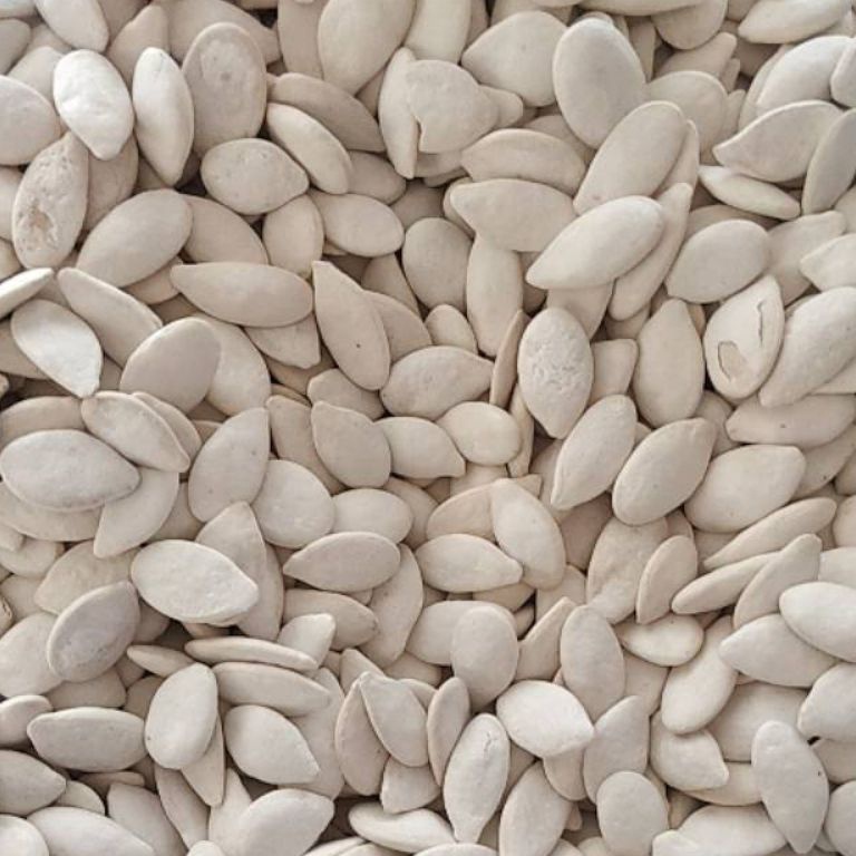 

Terk1n1 KWACI PUTIH / KWACI BIJI LABU KULIT 500gr Promo Murah