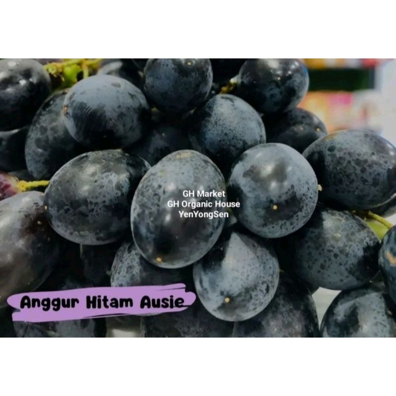 

Buah Segar Import Fresh Enak Manis Garing Kemasan 500gr