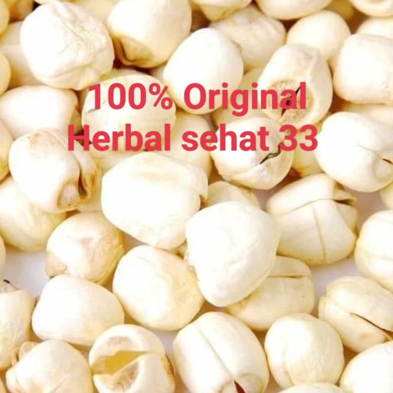 

Best Pr0duk biji teratai lotus seed / Lian zi 100gr With Discount