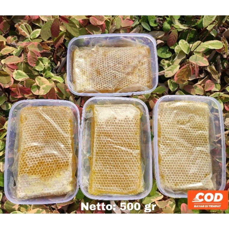 

[✩J53@] Madu Sarang 500 gram - Madu Asli - Sarang Madu - Madu Murni - grosir madu [202]