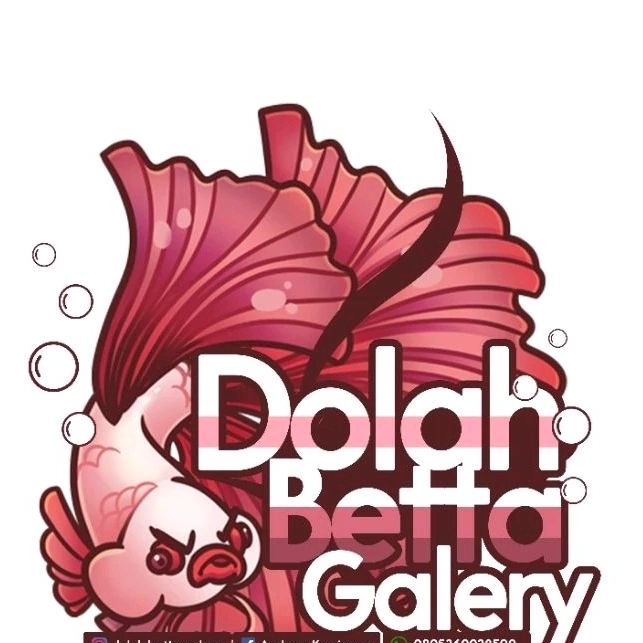 

Nota CO Dolah Galery Original
