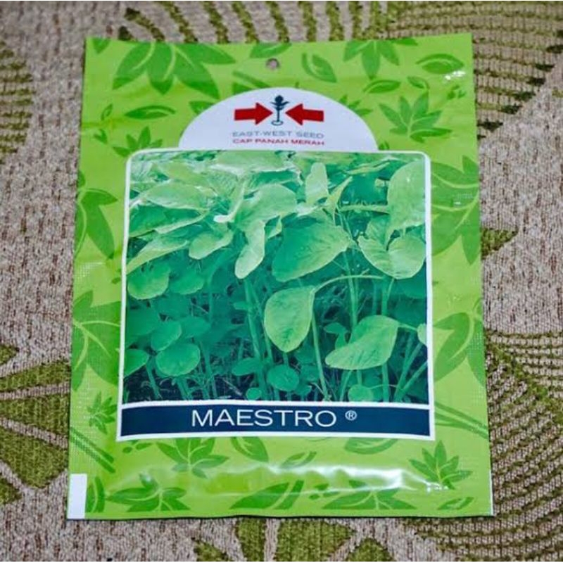Benih Bibit Bayam (bisa Cabut bisa ditanam terus potong) Maestro Berkwlitas isi 26.000 Butir sesuai 