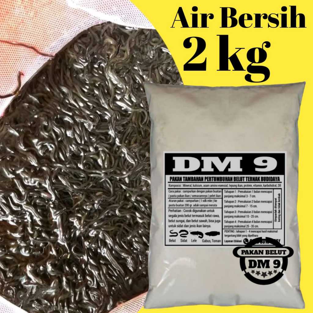 pakan belut ternak kolam air bersih 2 kg