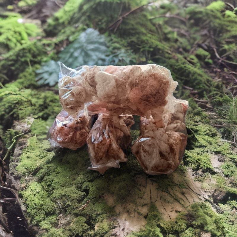 

Kerupuk Sangrai Khas Panguragan - Cirebon