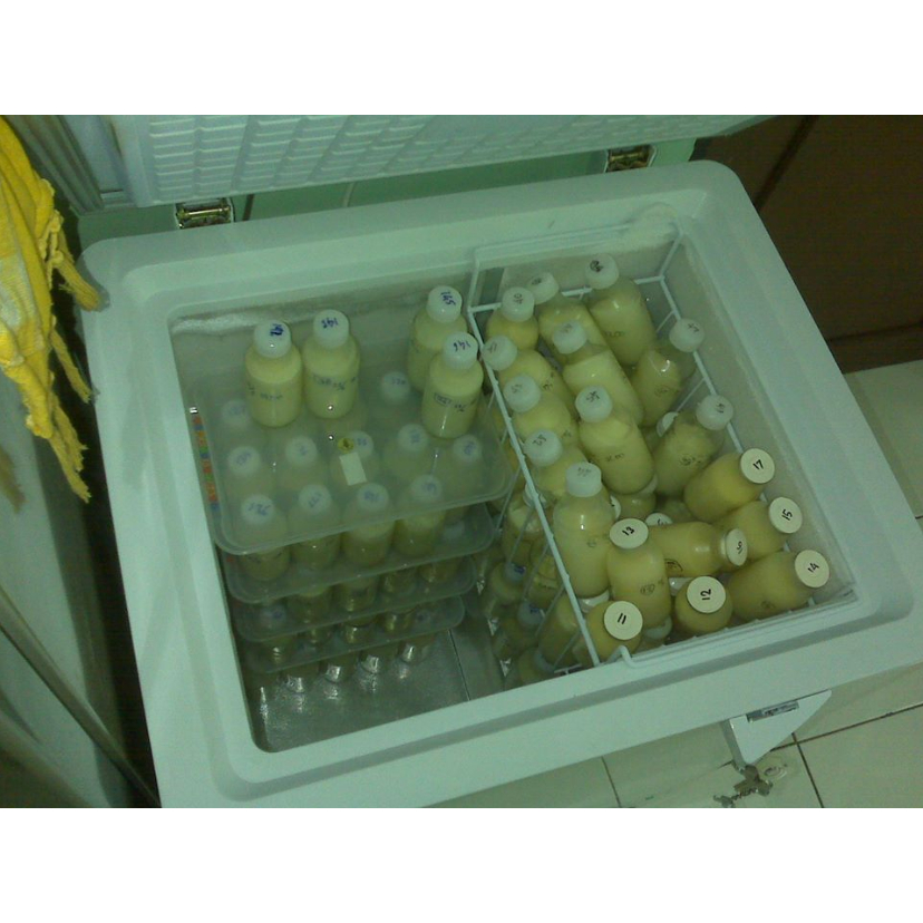 Paket 1 Bulan Sewa Freezer ASI / ASIP - Ukuran 100 Liter - JABODETABEK