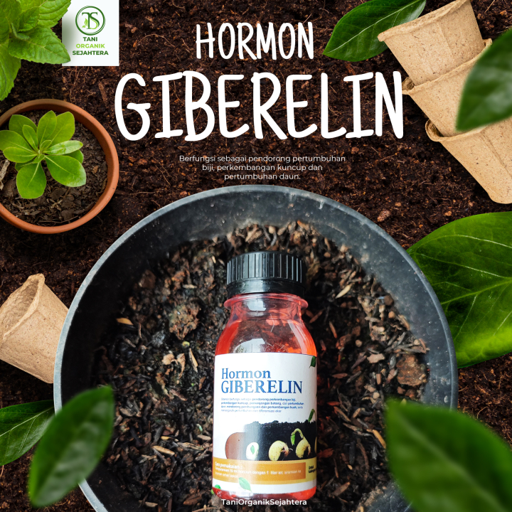 Hormon Giberelin: Stimulan Pertumbuhan Tanaman untuk Hasil Optimal Giberelin Boost: Hormon Ajaib unt