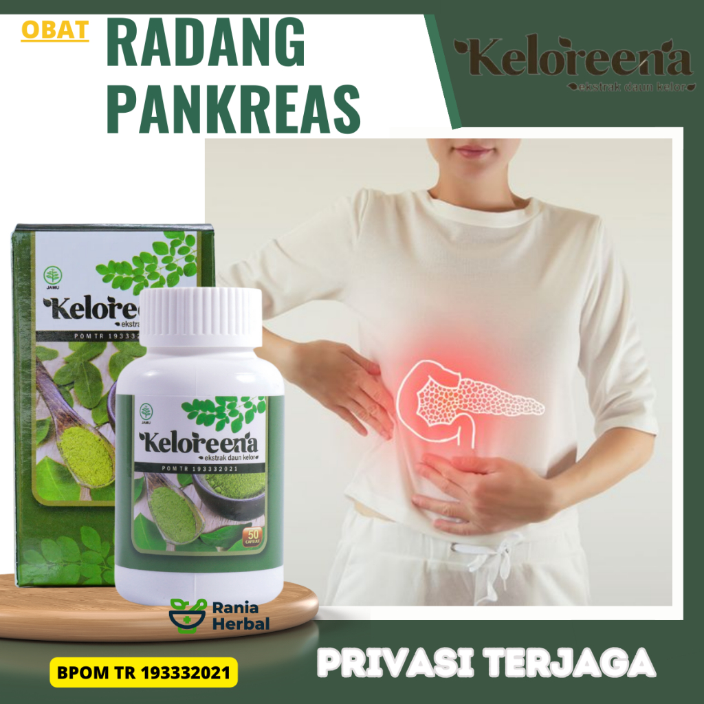 Obat Radang Pankreas,  Obat Peradangan Pankreatitis Kronis,  Obat Gangguan Fungsi Pangkreas, Obat Pa