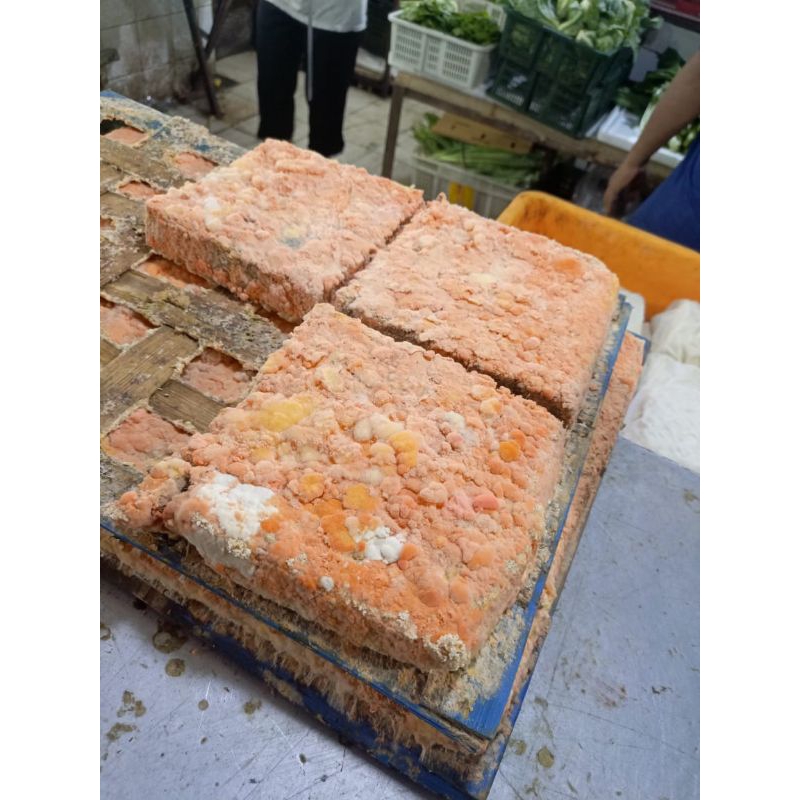 

Oncom merah 1pcs fresh