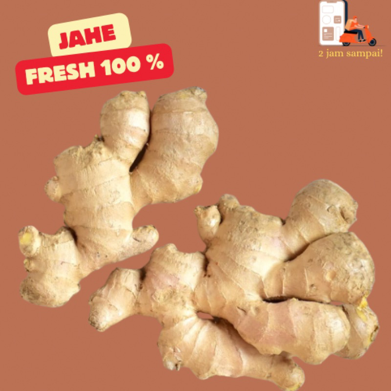 

Jahe Ginger 100gram Fres Sayuran Bumbu Dapur KIRIM INSTAN BANDUNG