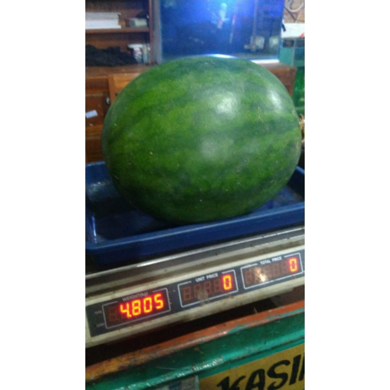

Semangka Non biji Merah 1buah/Semangka Manis merah fress