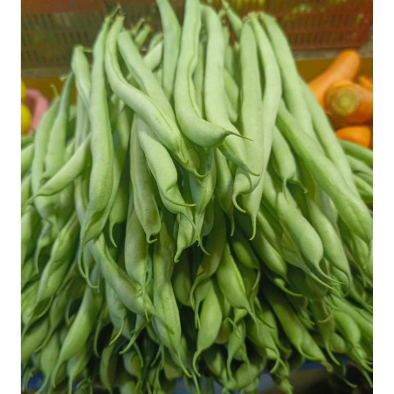 

Buncis biasa/buncis sayur fresh 250gram