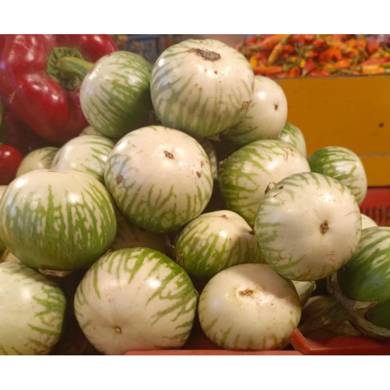 

Terong lalap/terong bulat fresh 250gram