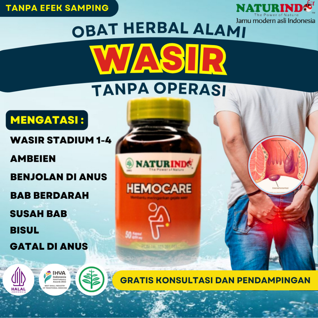 Obat Wasir Ampuh Obat Ambeien Paling Ampuh Obat Ambeyen Herbal Hemocare