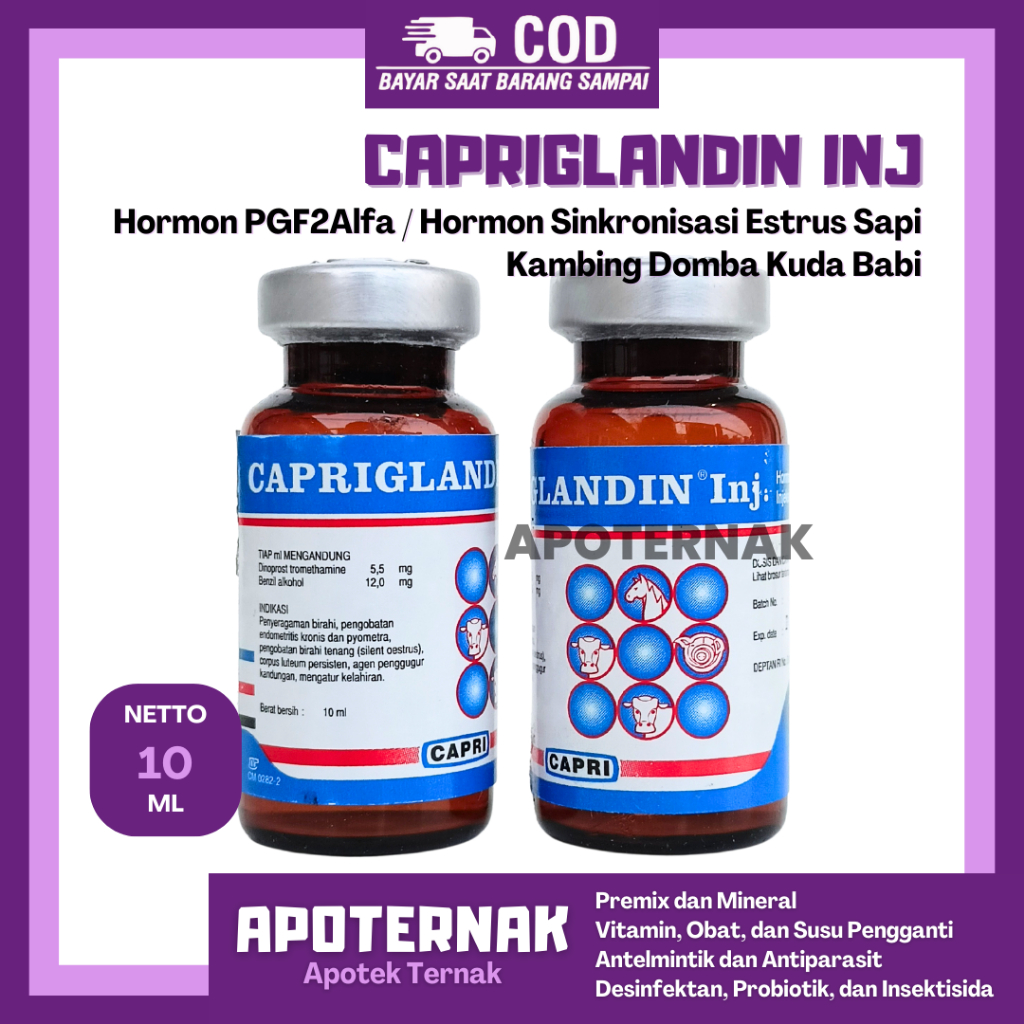 CAPRIGLANDIN INJ 10 ml - Hormon Sinkronisasi Estrus Sapi Kambing Domba Kuda Babi