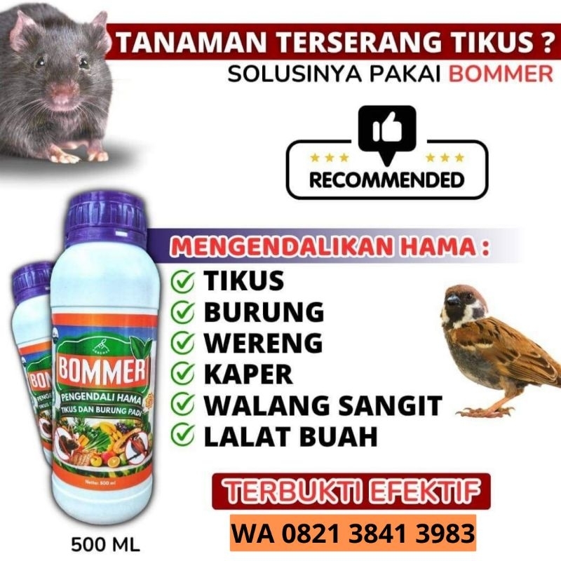 PENGUSIR TIKUS,PENGUSIR BURUNG,PESTISIDA,PESTISIDA ORGANIK,BOMMER