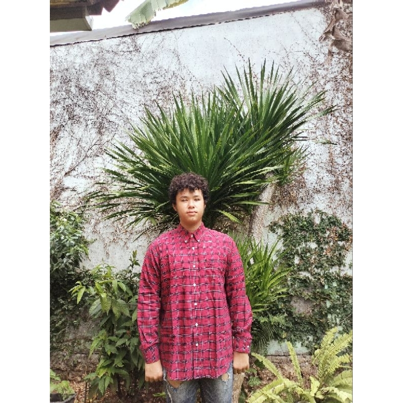 Kemeja Natal pria Kemeja Flanel